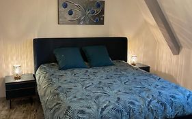 Le Cosy Green - centre-ville